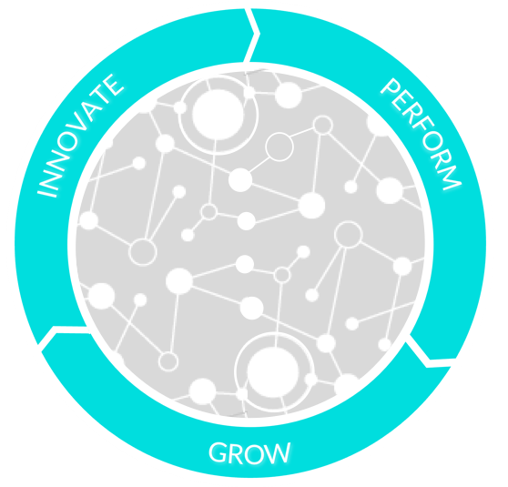 2025-krug SWISS IPG | Your business transformers | innovate – perform – grow