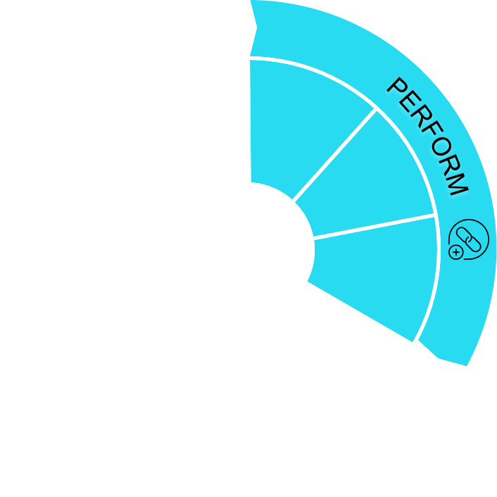 blue2 SWISS IPG | Your business transformers | innovate – perform – grow