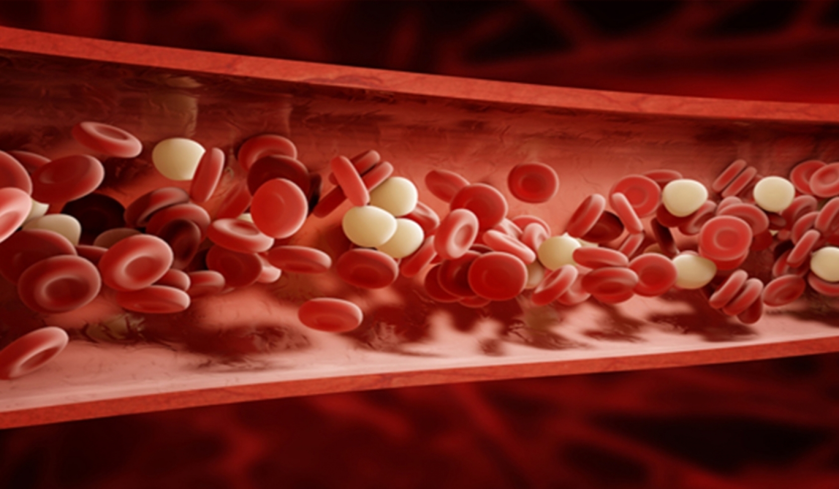 NEW ARTIFICIAL BLOOD COULD BE TRANSFUSED INTO ANY PATIENT