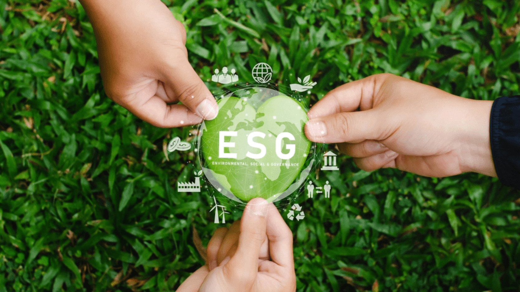 DATA MANAGEMENT: THE KEY TO SUCCESSFUL ESG REPORTING