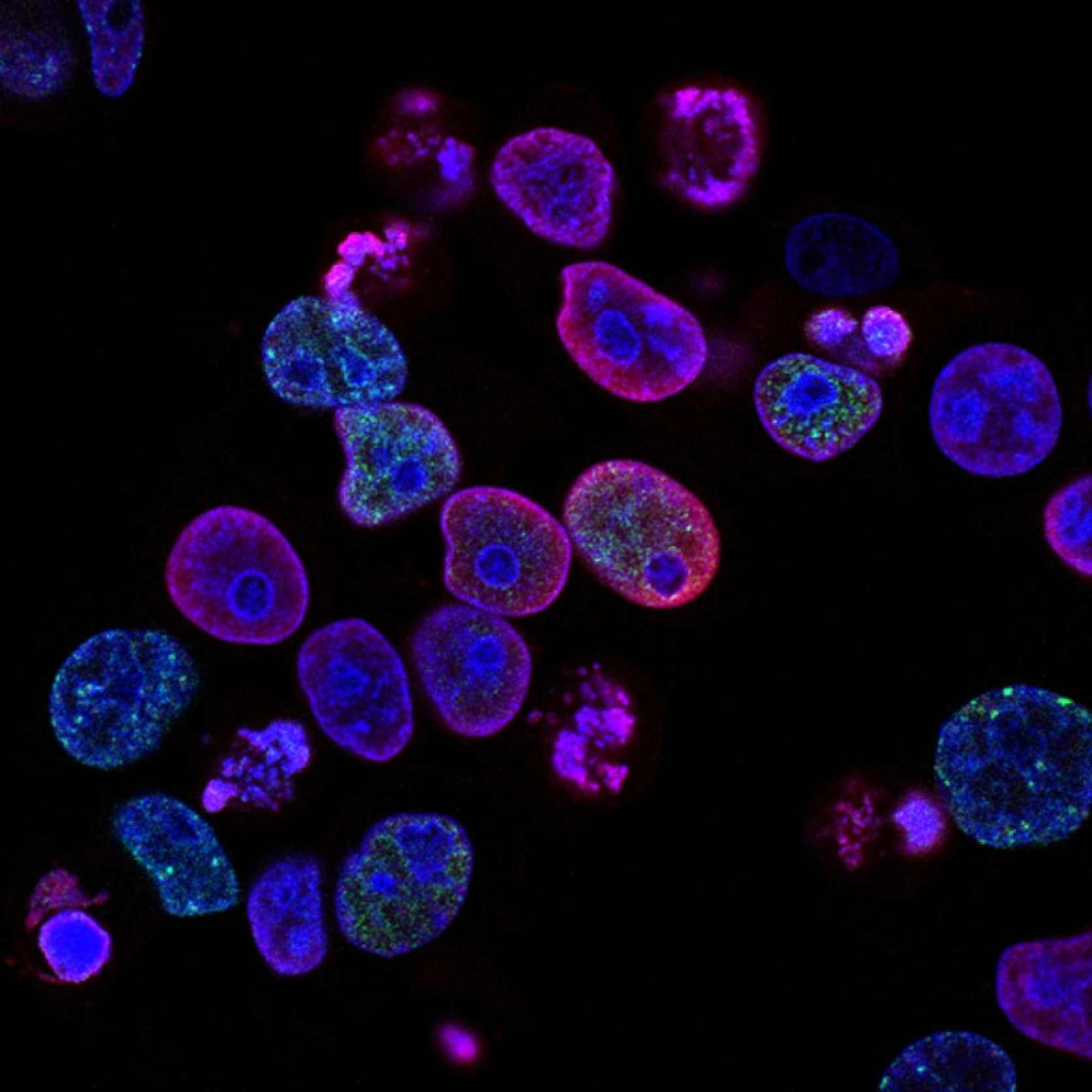 DEEPMIND BREAKTHROUGH HELPS TO SOLVE HOW DISEASE INVADE CELLS